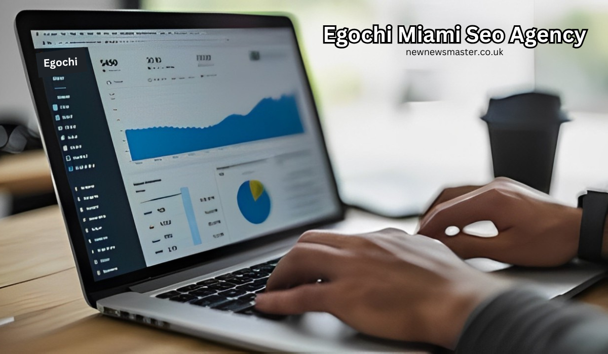 Egochi Miami Seo Agency