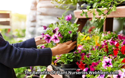 The Benefits Of Plant Nurseries Webfreen.com