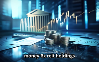 Money 6x Reit Holdings